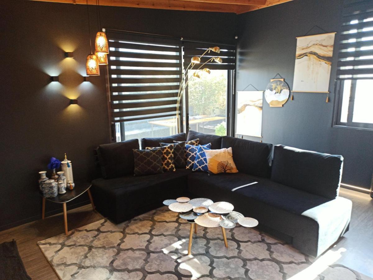 Villa Accessible Luxury Artemida  Esterno foto
